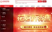 瀏陽(yáng)花炮連鎖網(wǎng)站建設(shè)