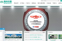海光儀器網(wǎng)站建設(shè)