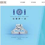 愛迪爾珠寶網(wǎng)站建設(shè)