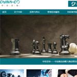 華彩咨詢網(wǎng)站建設(shè)